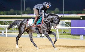 Breeders’ Cup ambitions for Japanese Horse of the Year Equinox