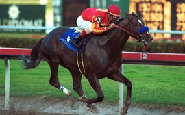 ‘A runner from the start’ – Jay Hovdey on Captain Steve