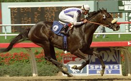 ‘The flashing, near-black spectre of Manistique on the march remains one of racing’s most thrilling sights’ – Jay Hovdey on Zenyatta’s predecessor