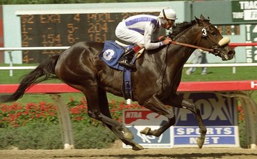 ‘The flashing, near-black spectre of Manistique on the march remains one of racing’s most thrilling sights’ – Jay Hovdey on Zenyatta’s predecessor