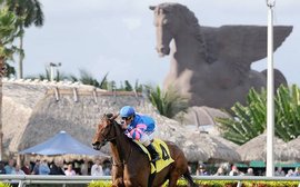 The moment the racing gods refused to smile on California Chrome