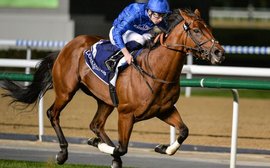 The runners for Riyadh: 21 G1 winners on star-studded list for $29.2m extravaganza