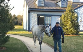 What exactly happens in the breeding shed?