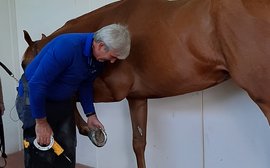 The farrier who can change a horseshoe in seconds - thanks to a small 3D printer in his workshop
