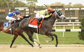 Tampa Bay Downs: now this is how to run a race course