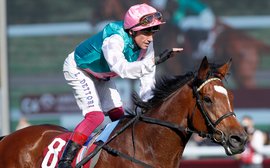 Will the Arc provide a lasting monument to the legacy of Enable?