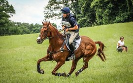 The ex-racehorse going for gold at the Rio Olympics