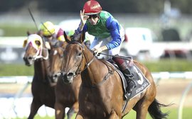 Top trainer Baker aims his big guns at the Caulfield Cup