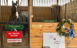 ‘He likes to be the boss’ – Lava Man enjoys his retirement at Old Friends