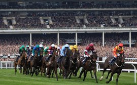 Irish fans spent €22 million attending Cheltenham Festival