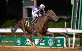 Saudi Cup fields: Rattle N Roll set to be sole US runner in world’s richest race