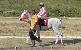 A lavish ‘Gem of the Caribbean’ racing resort: coming soon if this young trainer has his way