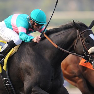 やっちゃん 様 thoroughbred Street Cry's amazing daughters: celebrating the greatness of