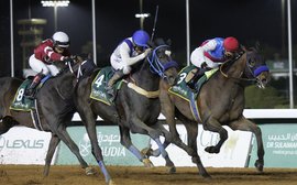 Saudi Cup: owner Amr Zedan set to fire two Baffert bullets with Taiba and Country Grammer