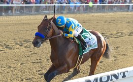 Utter joy - and total despair - watching American Pharoah win the Triple Crown