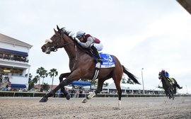 Kentucky Derby Prep School: the top ten so far