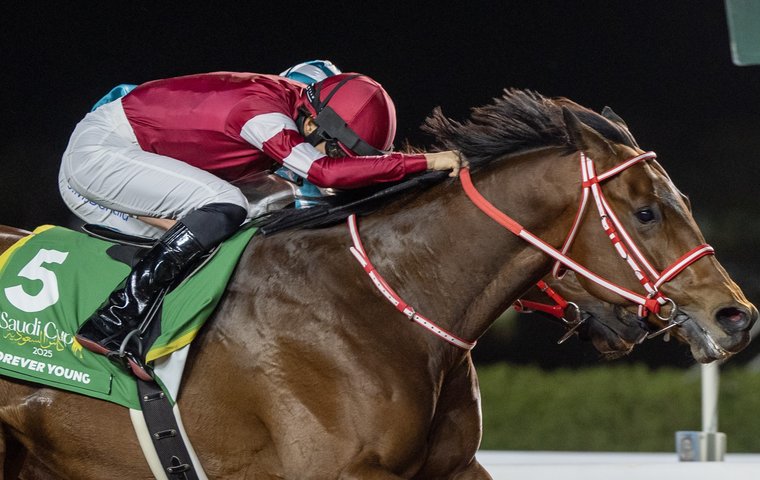 Riyadh on the rise – The story of the Saudi Cup