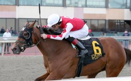 Blue collar hero: why claimer of the year Spikezone is the ‘ultimate warrior horse’