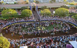 Gun Runner v Arrogate v Pharoah v Chrome: the poll result is in