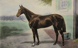 Pretty Polly: Prodigious legacy of the best racemare of the 20th century 