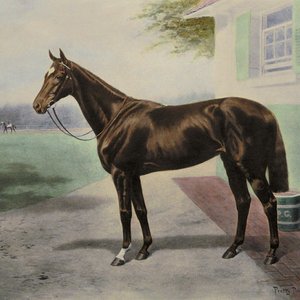 Pretty Polly Prodigious legacy of the best racemare of the 20th