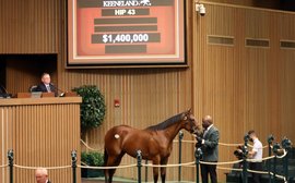 $1.4 Million Half-Sister to Recent Grade 1 Winner Echo Zulu leads strong opening day 