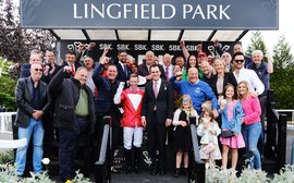 Why this bunch of rogues are hoping to be left in clover with rich payday in Weatherbys Super Sprint