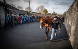 It’s time to register for the ITM Irish Stallion Trail