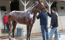What’s been happening: Kentucky Derby latest, Epsom Derby latest, Race for the Crown and more …