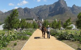 Why international buyers are finding it hard to resist South African bloodstock