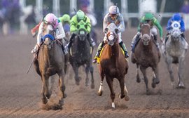 The great Pegasus World Cup game of cat and mouse
