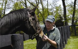 Get ready for a mass gathering of aftercare groups at Equestricon