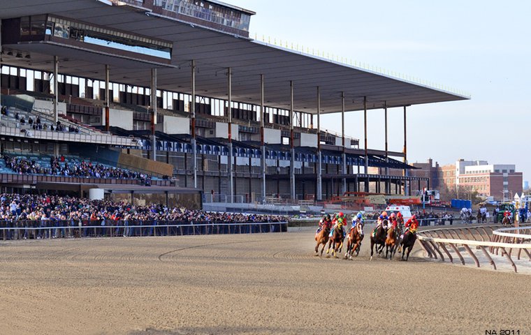 Belmont Stakes Grandstand Seating Chart