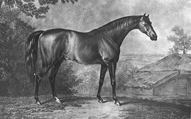 Highflyer: the outstanding sire of the 18th century