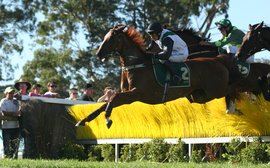 Endangered species? Body blow for Aussie jumping as obstacles are removed at famous racing club