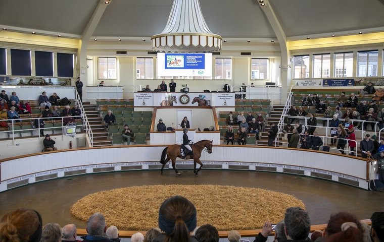 Tattersalls ensures support for horses in new guises