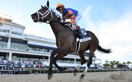 What’s been happening: Fierceness surgery, Frankie Dettori tax case, Flavien Prat and more …