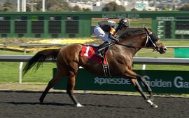 She’s ready to go again - the horse with the longest 2017 win streak in America