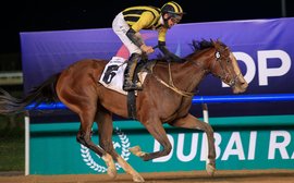 UAE Oaks winner Shahama joins Todd Pletcher for Kentucky Oaks bid