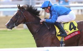 How to bet the Super Saturday card at Meydan: Castlewarden can emulate famous sibling