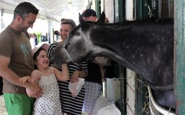 Why the fans just can’t get enough of this tiny mint-loving filly with the ‘puppy-dog’ eyes