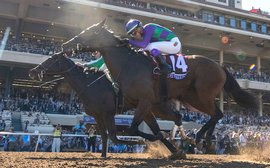 The battle to decide who will be Canada’s Horse of the Year