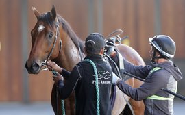 Top stud snaps up ‘most naturally gifted juvenile we’ve had anything to do with’