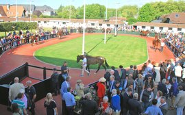 The lessons U.S. breeders learned from the Arqana yearling sale