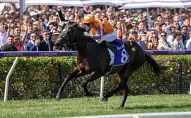 Royal Ascot dreams: sprint queen Imperatriz back in world top five with eighth G1 win