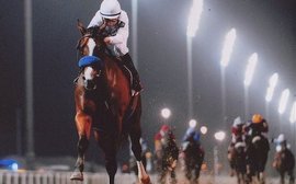 Well Armed: ‘This horse, what he’s meant to us in so many ways, it’s impossible to describe’