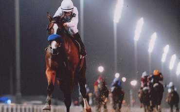 Well Armed: ‘This horse, what he’s meant to us in so many ways, it’s impossible to describe’
