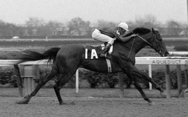 One man and his horse: the lifelong obsession of Dr. Fager’s biggest fan