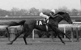 One man and his horse: the lifelong obsession of Dr. Fager’s biggest fan