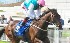 Guineas heroes head an all-star clash for pivotal mile showdown